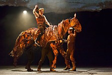 'War Horse'