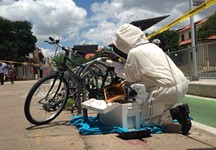 Biker Bees Invade Drag, Caught in Honey Trap