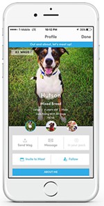 BarkHappy App Connects Pups for Playtime