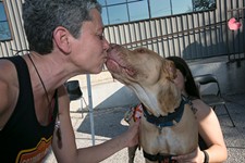 Sweet Barks Benefit for Austin Pets Alive!