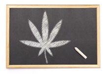 Weed Classes Now Shorter