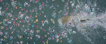 Get Wet With <i>The Meg</i>