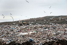 Good News and Bad News for Neighbors of Austin Community Landfill