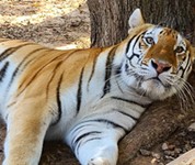 Day Trips & Beyond: Mid-September Travel Updates