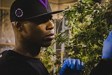 Al Harrington's Quest for Equity in Cannabis