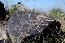 Day Trips: Three Rivers Petroglyph Site, New Mexico