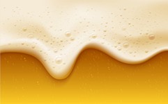 Top 25 Austin Breweries of 2021