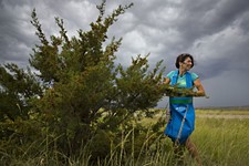 Biology Professor Brings Field Expertise to Craft of Botanical Foraging