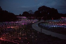 A Walk Through the Wildflower Center's <i>Field of Light</i>