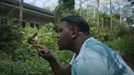 SXSW Film Review: <i>Caterpillar</i>