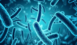 UT Discovery About Bacteria Could Help Prevent Antibiotic Resistance