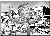 Oh Boy! Another Campaign Season!