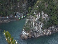 Review: The Cove