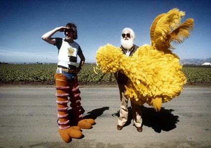 DVDanger: I Am Big Bird