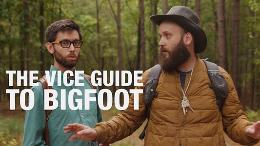 Hunting Down the Clickbait Beast in The VICE Guide to Bigfoot