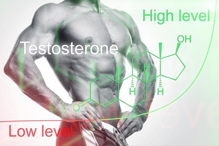 Best Testosterone Boosters Supplements (2021)