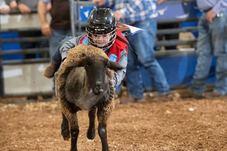 Rodeo Austin: Everything You Need to Know