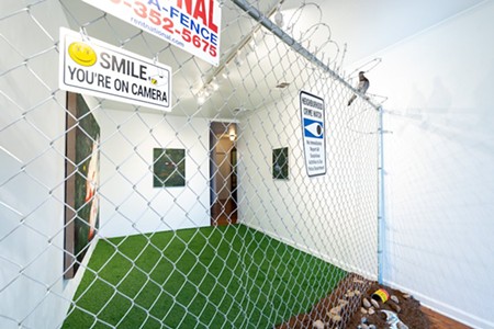 Ben Siekierski’s “Won’t You Be My Neighbor” Takes a Jaunt Through Austin’s Ring Camera District