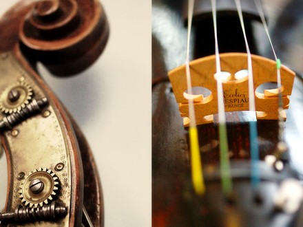 Specialty Instrument Store: Violins, Etc.