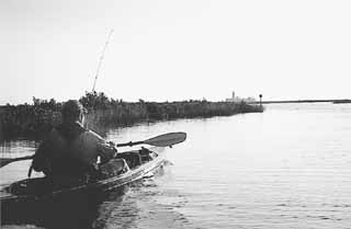 The Lighthouse Lakes Trail