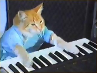 Keyboard Cat