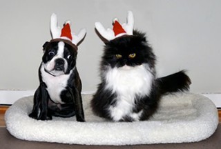 Santa's little poopers