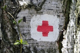 Updated Wildfire Relief Information
