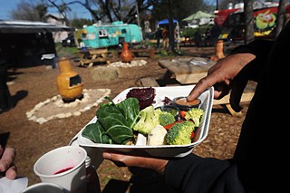 The bounty of the Soular Food Garden