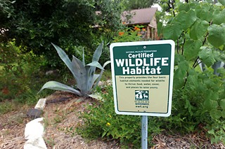 Laura Croteau's certified Wildlife Habitat in 2011