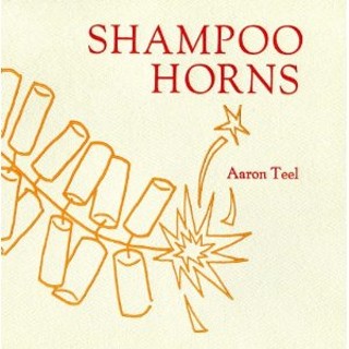 Q&A With Author Aaron Teel