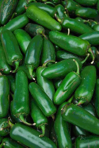 Chipotle Chiles