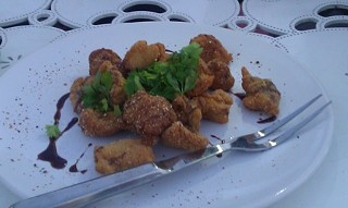 Yellow catfish at the Homegrown Revival