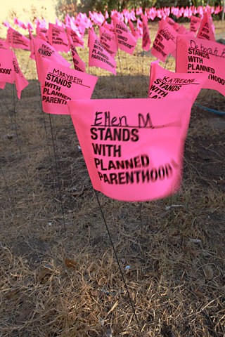Planned Parenthood has been the biggest loser in the state's substantial budget cuts to women's health.