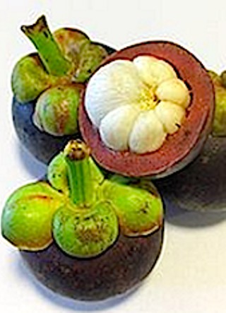 Mmmm, ahhh, mangosteen …