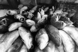 My Thanh Market