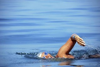 Diana Nyad has swum from Cuba to the U.S., proving that it can be done, and that therefore we must hire sharks with laser beams to protect the border.