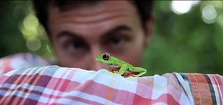 Sustainability Goes Viral! winner Follow the Frog