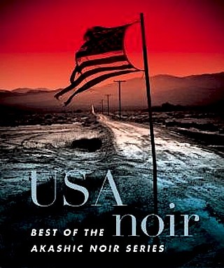 Akashic's 'USA Noir' Takes You Hostage in a Good Bad Way