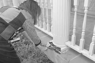 Ballard examines some of the damage done to her home by mold.
