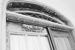 Mold fills a window of Ballard's Dripping Springs mansion.