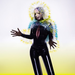 Mo’ Music Monday: Björk’s Vulnicura