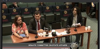 Colin Goddard, a survivor of the Blacksburg massacre, is among those who testified against lax gun bills during a Senate State Affairs Committee hearing on Thursday. Screen Shot.