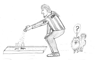 The Luv Doc: Cat  Poo Pom