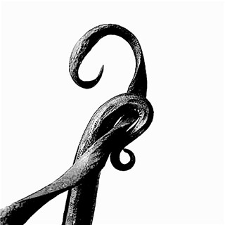 Force, Fuse, Flower: Colin McIntyre’s “Circumnutation”