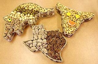 Austinuts