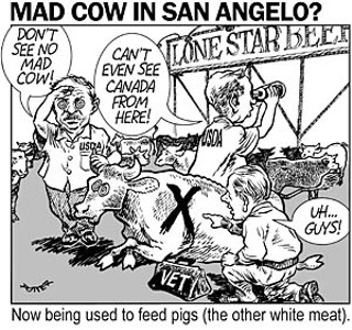 Has mad cow disease arrived in Texas? The government is investigating why a cow showing potential signs of the disease was sent to slaughter last week at Lone Star Beef in San Angelo; the USDA insists that the cow meat did not enter the human food chain.