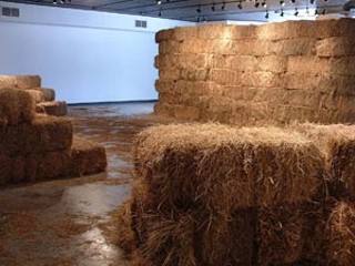 Installation artist Allison Wiese will be in town to give an artist talk Up 'Til Now and to discuss her current Women & Their Work show Come to Find Out on Wednesday.