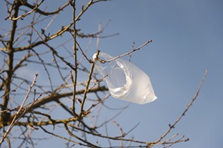 Say Goodbye to the Plastic Bag Ban