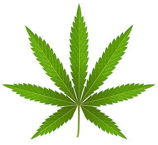 Don’t Book ’em, Danno: DPS Backs Off on Pot Busts
