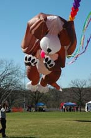 Luv Doc Recommends: 82nd Zilker Park Kite Festival